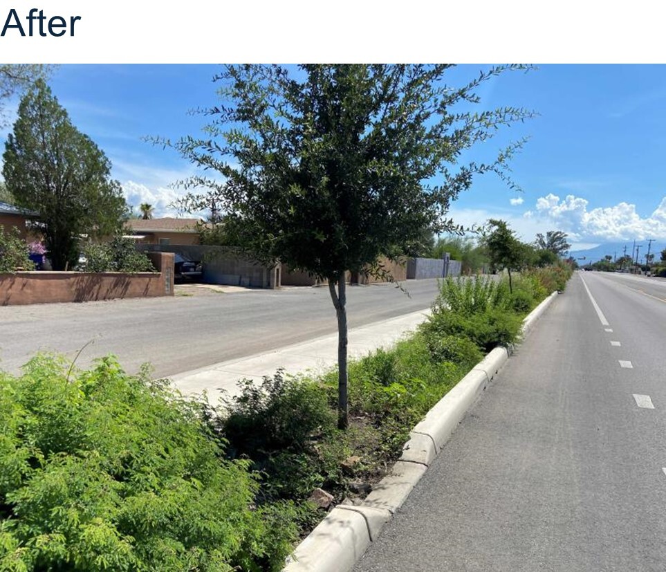 Storm to Shade After 