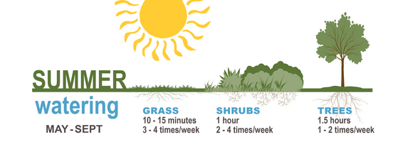 Watering Schedule Graphic