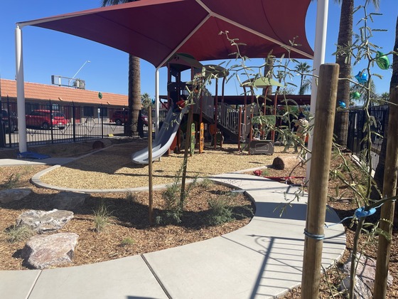 Photo of kids playing on the playground surrounded by newly planted native trees and plants.  