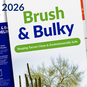 Brush and Bulky