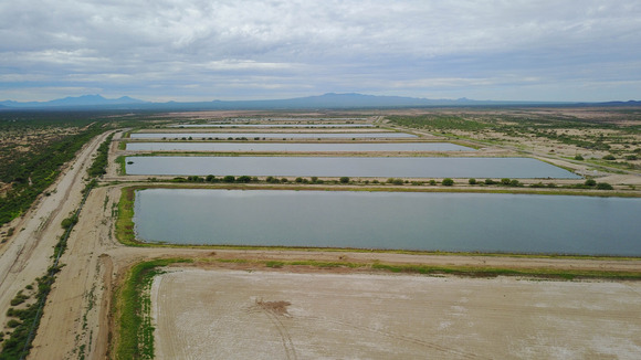 Avra Valley Recharge basins