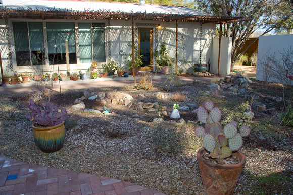 rainwater harvesting in front yard