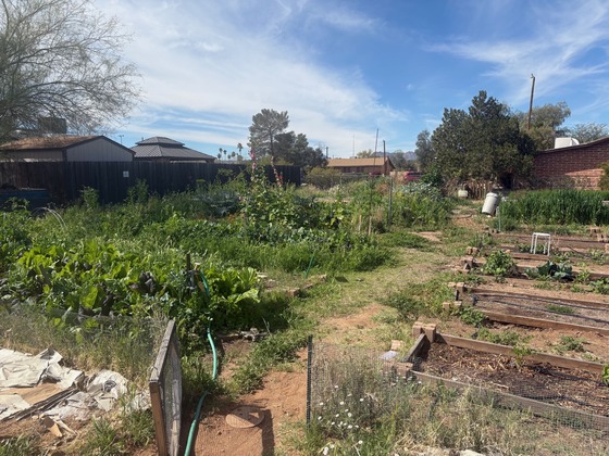 Photo of The western half of the Keeling Community Garden.