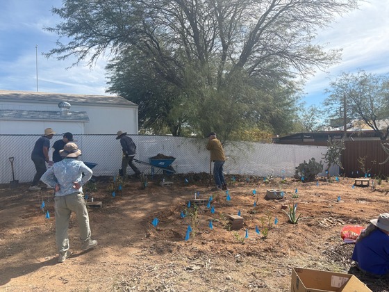 Photo of The newly installed pollinator garden and crescent-like walking path.