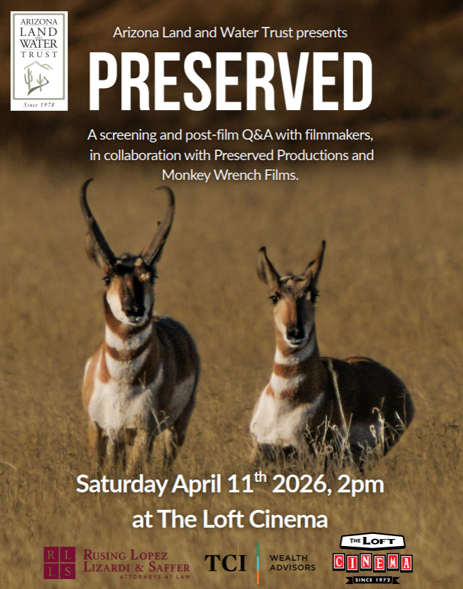 Preserved at the loft