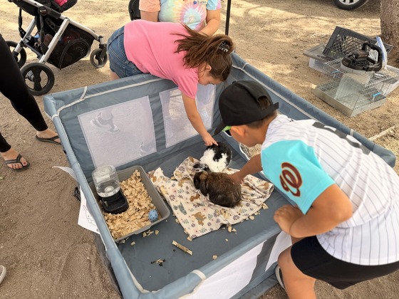 Photo of Millie (brown rabbit) and Squishy (black and white rabbit) enjoying a snack while tenderly being pet by two kids.