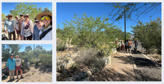 Images from the Country Glenn Pocket Park Clean Up, courtesy of the County Glenn Neighborhood Association. 