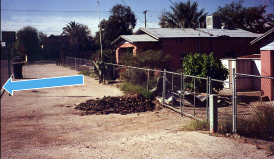 Graphic of photos demonstrating the effects of water harvesting irrigation at Brad Lancaster's home.
