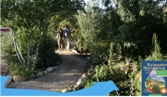 Graphic of photos demonstrating the effects of water harvesting irrigation at Brad Lancaster's home.