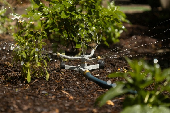 sprinkler in garden