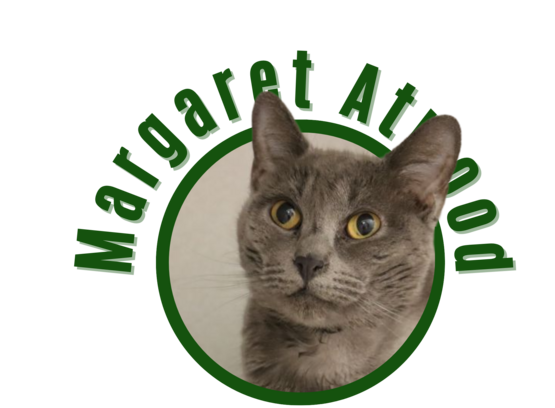 Pima Animal Care Center Cat Margaret Atwood