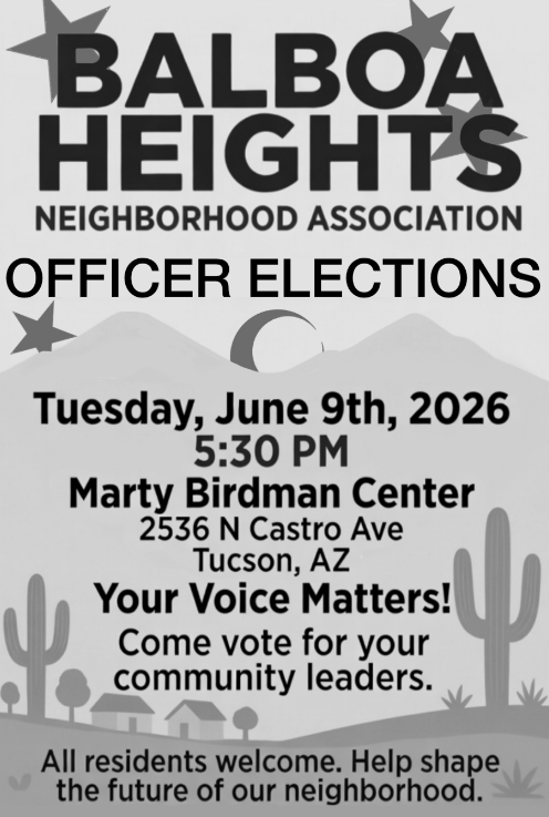Balboa Heights election Flyer