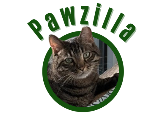 Pima animal control Cat Pawzilla