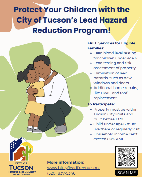 Lead Reduction Program Flyer