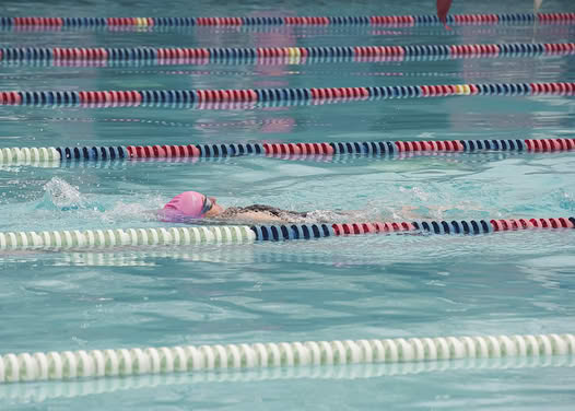 lap swim