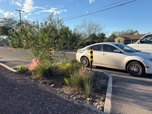 Dodge Flower Chicanes