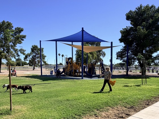 green grass and people and dogs in front of a large shaded play structure