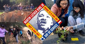 mlk4