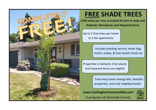 Free Trees Program Still Available to Unincorporated Alameda County