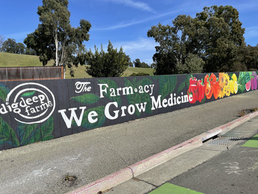 We Grow Medicene