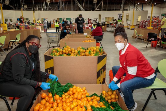 Food bank staff sorting oranges
