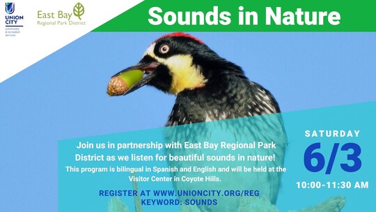 Sounds in Nature at Coyote Hills Flyer