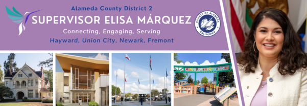 Elisa D2 Newsletter Banner