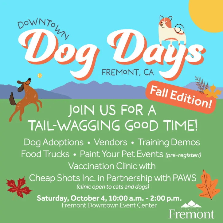 Dog Days in Fremont