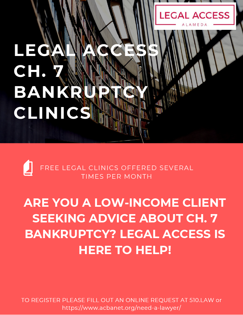 Chapter 7 bankruptcy clinic