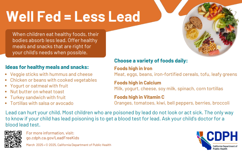 Healthy Eating Tips To Reduce Lead Exposure in Kids