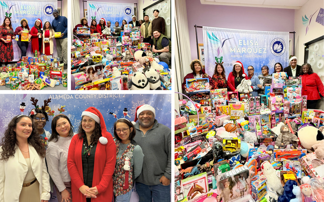 Holiday Food and Toy Drive Collage