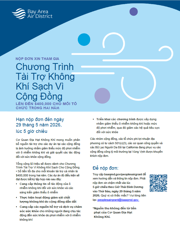 Vietnamese Flyer