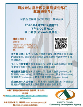 flyer chinese