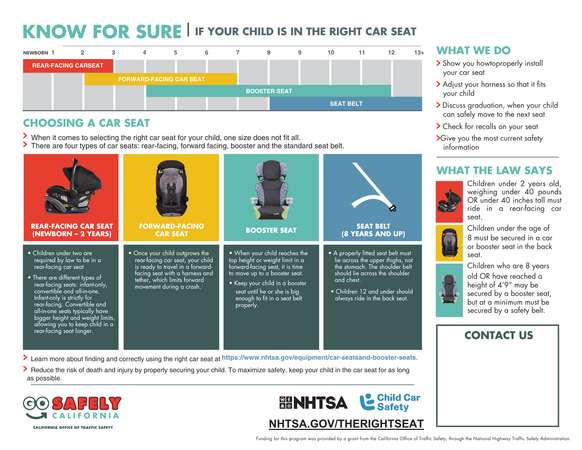English Car Seat Check Up Flyer