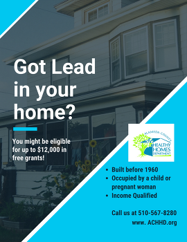 lead flyer