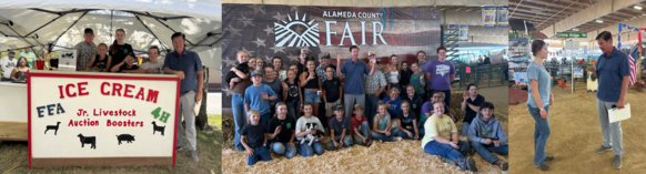 4-H Junior Livestock Auction Pictures