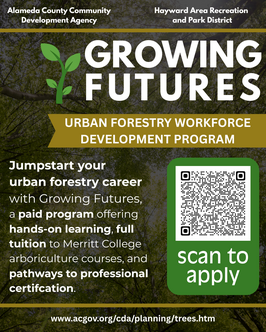 growing futures
