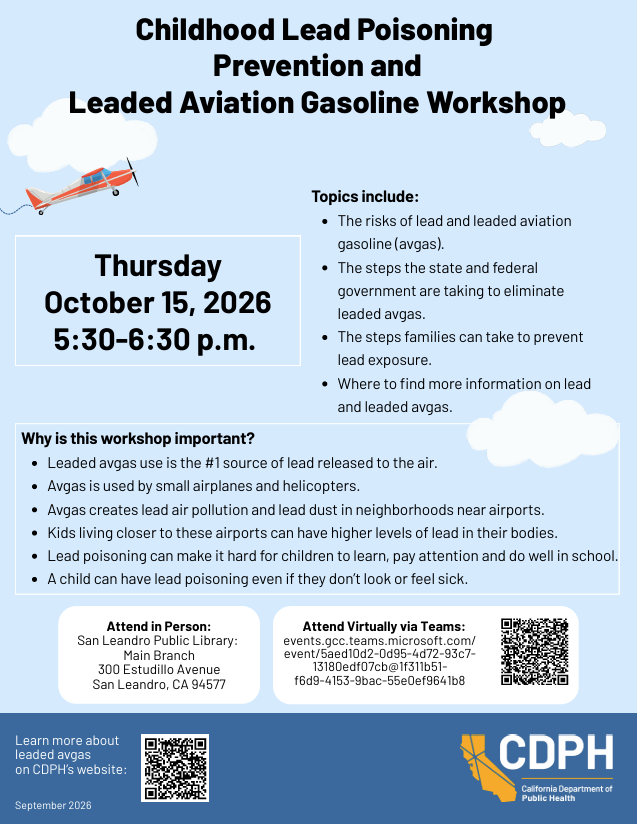 Lead gas workshop