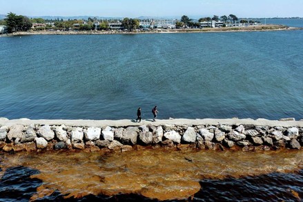 Photo from SF Chronicle of algae bloom