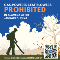 Gas-Powered Leaf Blower Ban