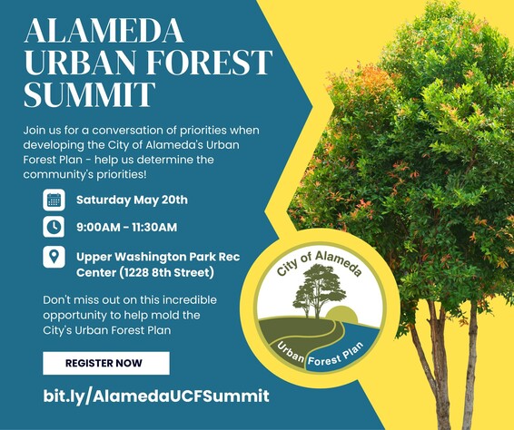 Urban Forest Summit 2023