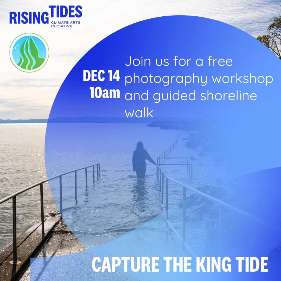 King Tides