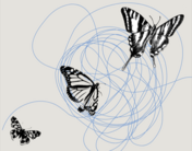 Across Prison Walls: Building Community Through Letter Writing