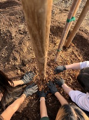 People planting trees
