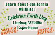 Earth Day Lindsay Wildlife