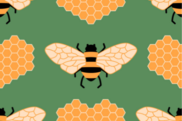 Bees wax candles