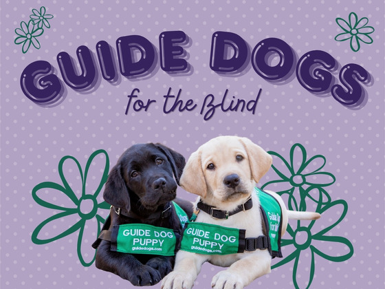 Guide Dogs for the Blind