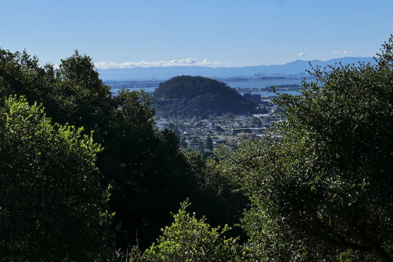 Albany Hill