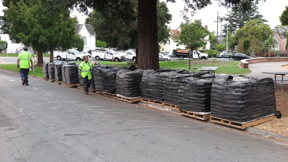 Bagged compost on palettes ready for distribution