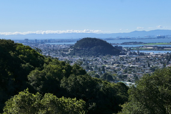 View of Albany Hill from Berkeley Hills